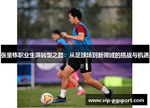 张呈栋职业生涯转型之路：从足球场到新领域的挑战与机遇