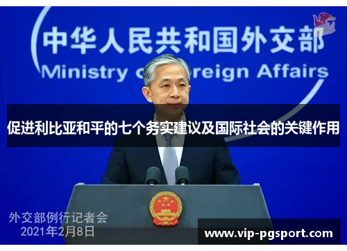 促进利比亚和平的七个务实建议及国际社会的关键作用
