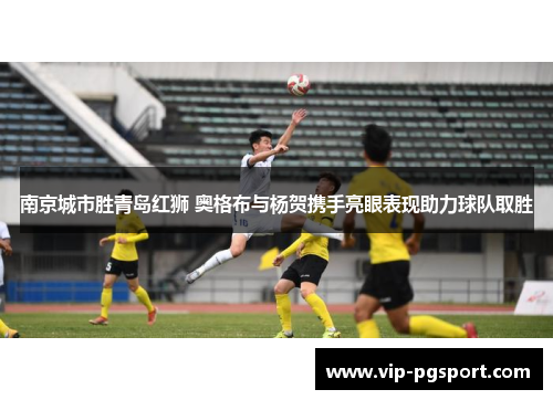南京城市胜青岛红狮 奥格布与杨贺携手亮眼表现助力球队取胜