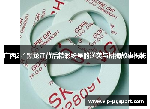 广西2-1黑龙江背后精彩纷呈的逆袭与拼搏故事揭秘