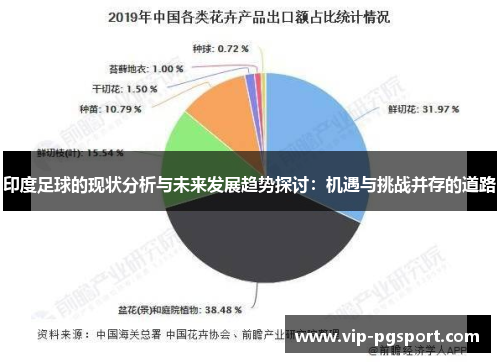 印度足球的现状分析与未来发展趋势探讨：机遇与挑战并存的道路