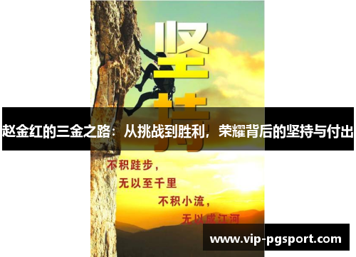 赵金红的三金之路：从挑战到胜利，荣耀背后的坚持与付出