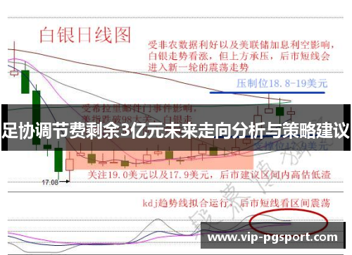 足协调节费剩余3亿元未来走向分析与策略建议
