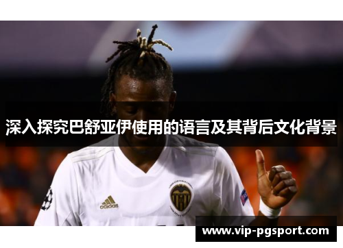 深入探究巴舒亚伊使用的语言及其背后文化背景 深入探究巴舒亚伊使用的语言及其背后文化背景