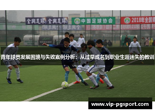 青年球员发展困境与失败案例分析：从过早成名到职业生涯迷失的教训
