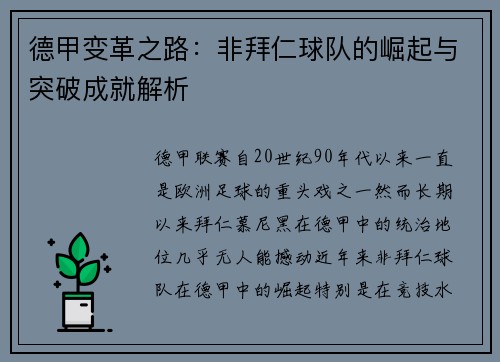 德甲变革之路：非拜仁球队的崛起与突破成就解析