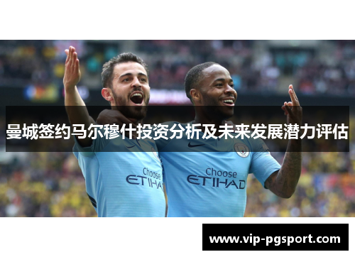 曼城签约马尔穆什投资分析及未来发展潜力评估