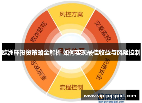 欧洲杯投资策略全解析 如何实现最佳收益与风险控制