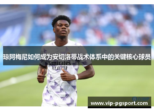 琼阿梅尼如何成为安切洛蒂战术体系中的关键核心球员